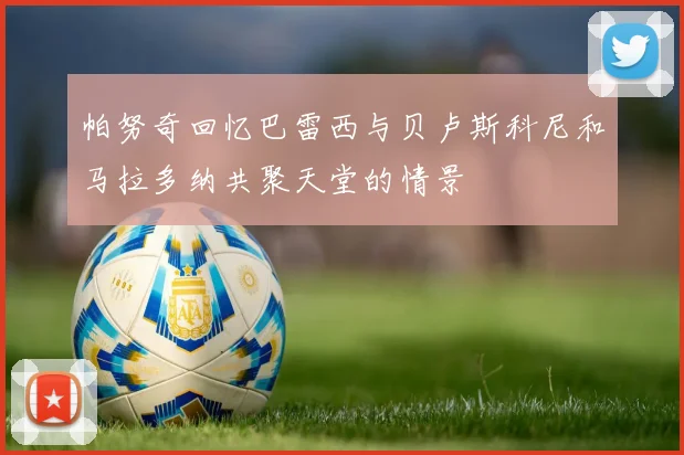 帕努奇回忆巴雷西与贝卢斯科尼和马拉多纳共聚天堂的情景